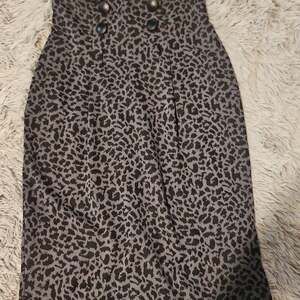 Charlotte Russe Leopard Print Mini Skirt